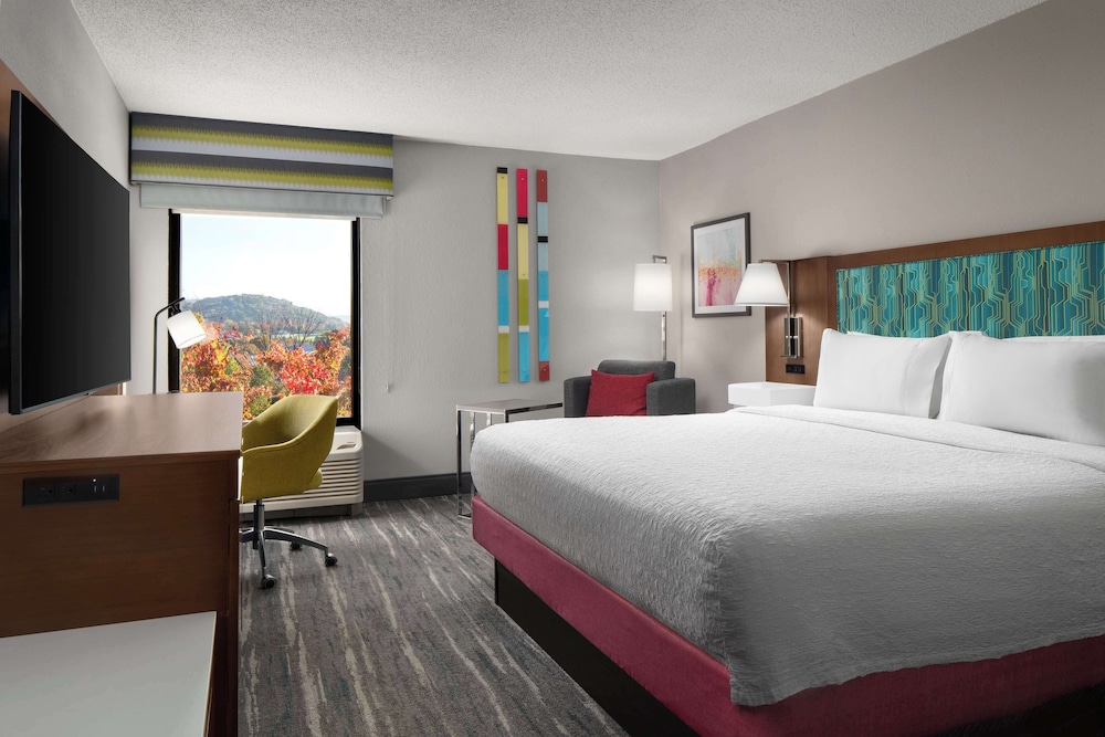 Hampton Inn Roanoke Hollins I 81 - photo 6
