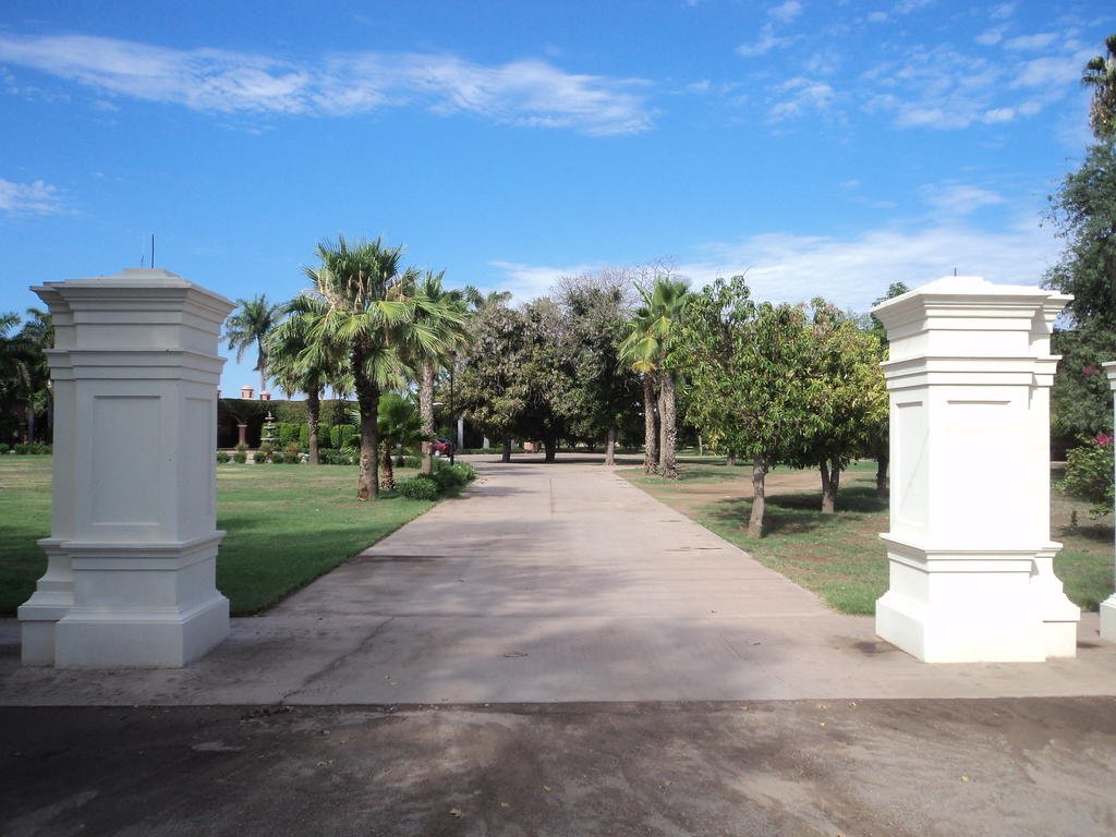 Hotel Hacienda Cazadores — Navojoa — photo 2