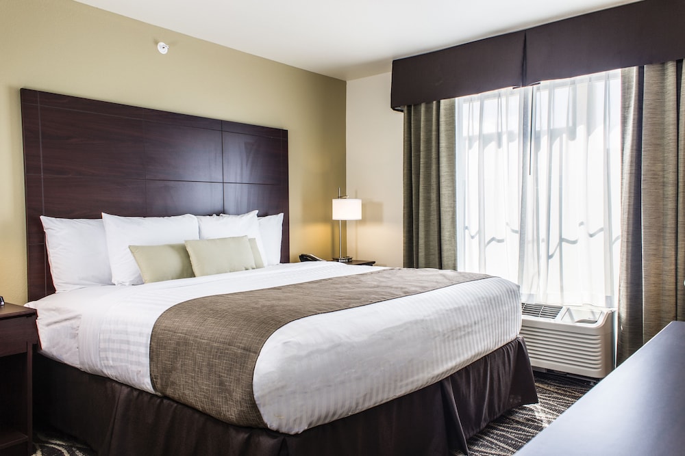 Cobblestone Hotel & Suites Stevens Point - photo 6