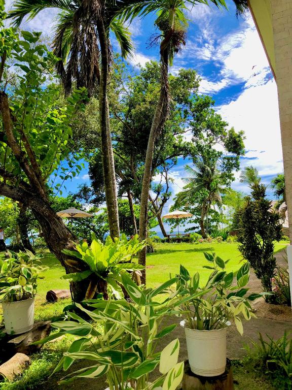La Sirenita - carbon neutral hotel in Tagbilaran City