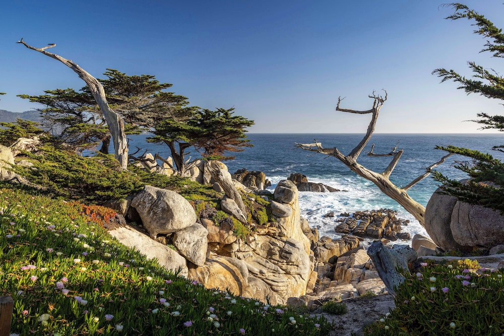 Home2 Suites by Hilton at the Dunes on Monterey Bay - photo 13