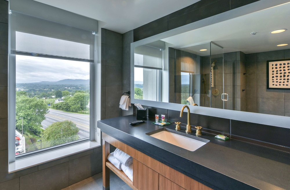 DoubleTree by Hilton Asheville Downtown - photo 49