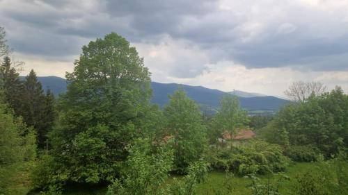Schöne Unterkunft in Lohberg mit Grillplatz und Balkon — hotel in Lohberg