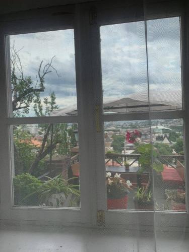The best view on Tbilisi