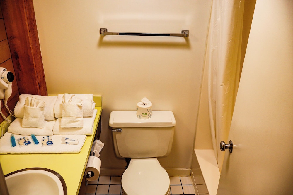 Snowy Owl Inn And Resort - photo 45