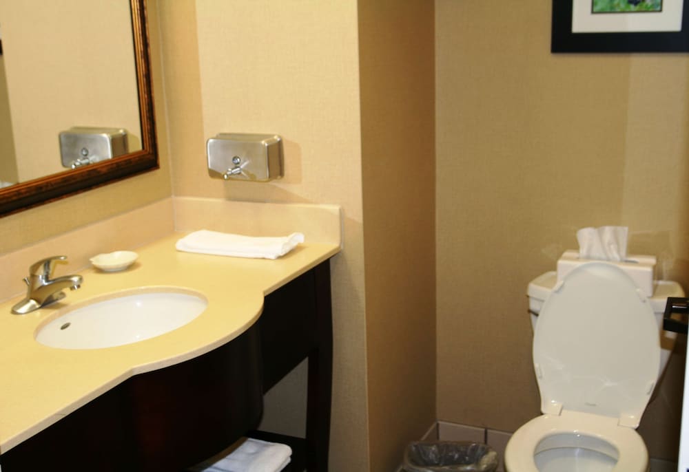 Hampton Inn Mount Airy - photo 41