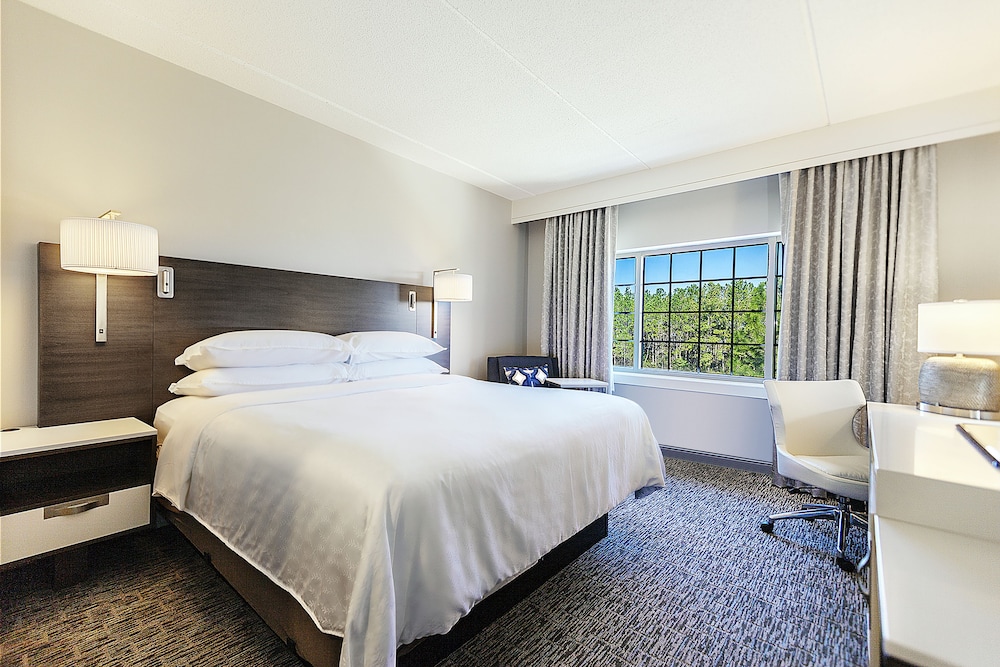 Sheraton Jacksonville Hotel - photo 7