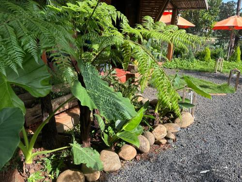 Riverside - carbon neutral hotel in Hoa Binh