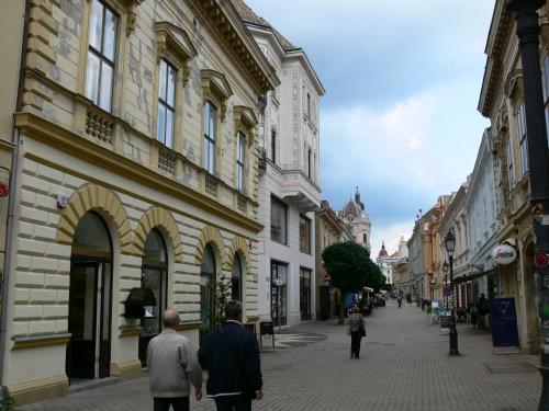 Sunny city center — 4-Star Luxury Hotel in Pecs, Hungary