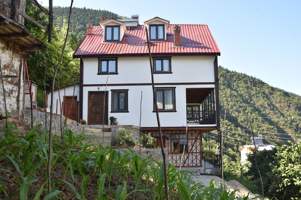 Nanaga 1883 in Caykara, Turkey