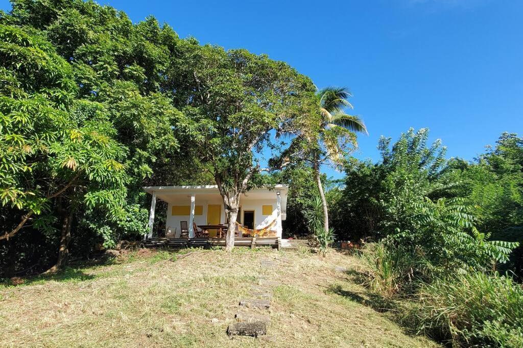 Villa Sunshine — La Trinite — photo 4
