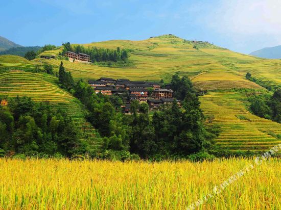 Longsheng terrace Lvyuanchun hotel in Longsheng, People's Republic of China