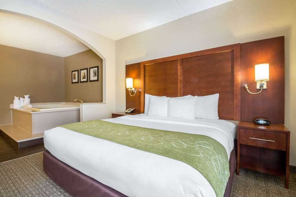 Comfort Suites at Woodbridge - photo 31