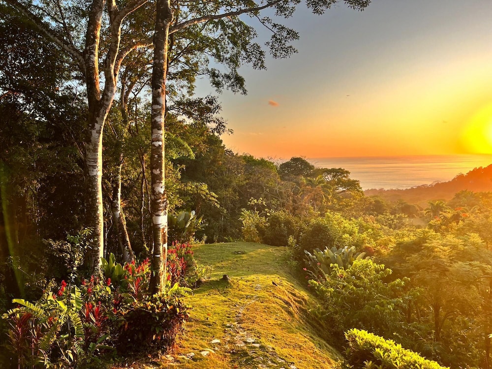 Luxury Jungle Haven Ocean View Infinity Pool in Puntarenas, Costa Rica