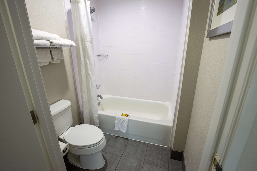 Best Western Plus Vermilion River Inn & Suites - photo 28