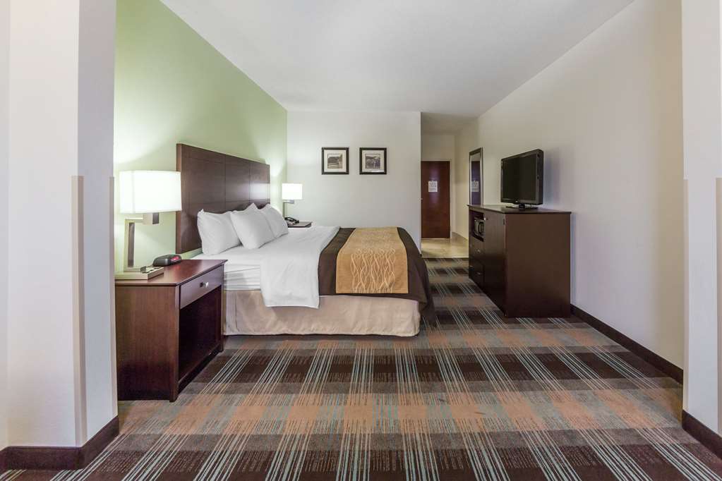 Comfort Inn Lexington South - photo 7