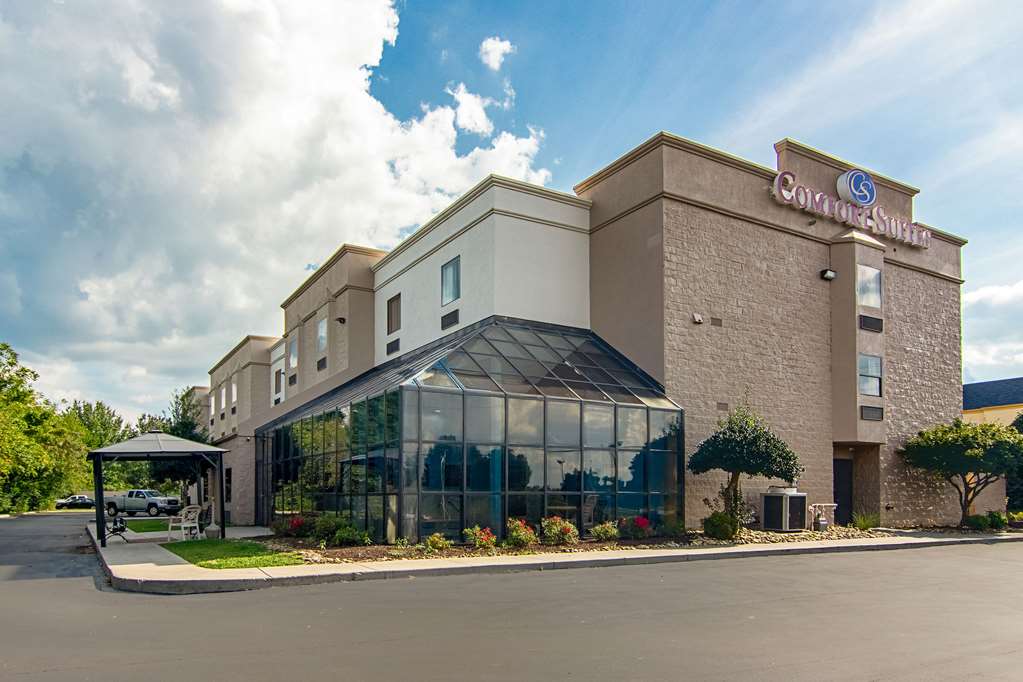 Comfort Suites Knoxville Airport - photo 3