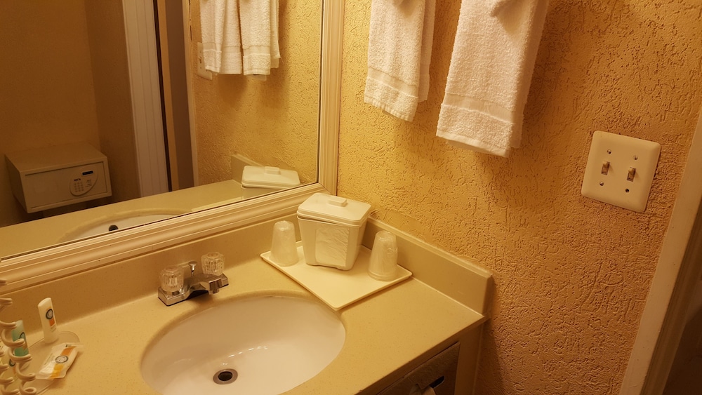 Econo Lodge Busch Gardens - photo 50