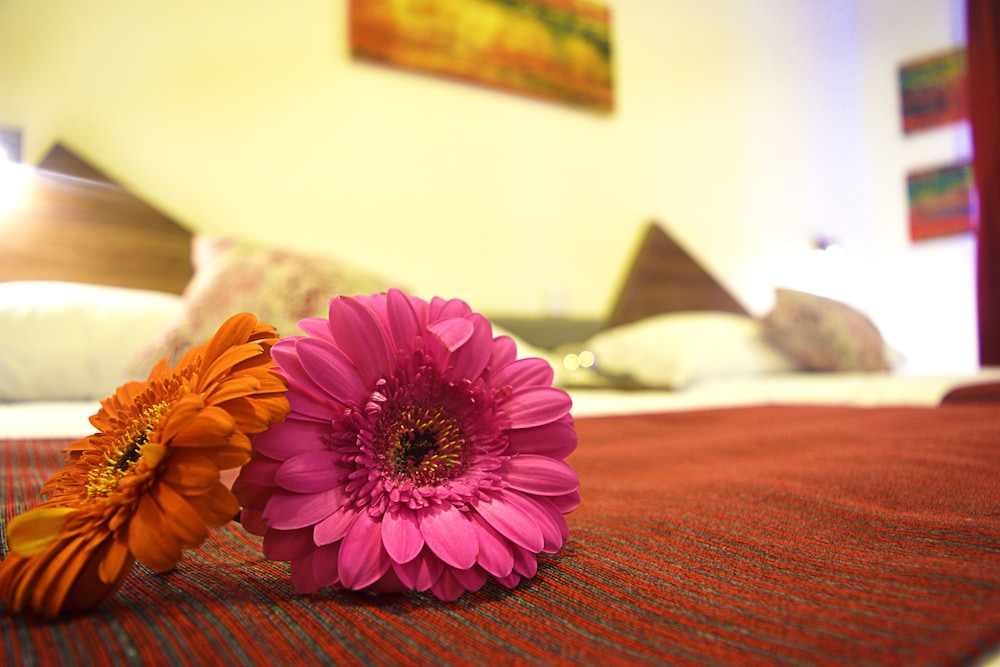 Astro Inn Hotel Express — hotel in Xalapa De Enriquez