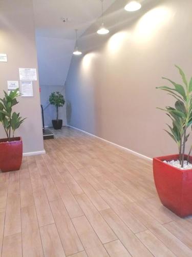 CityPad 1 Bed w Balcony 5 mins to V&A CTICC