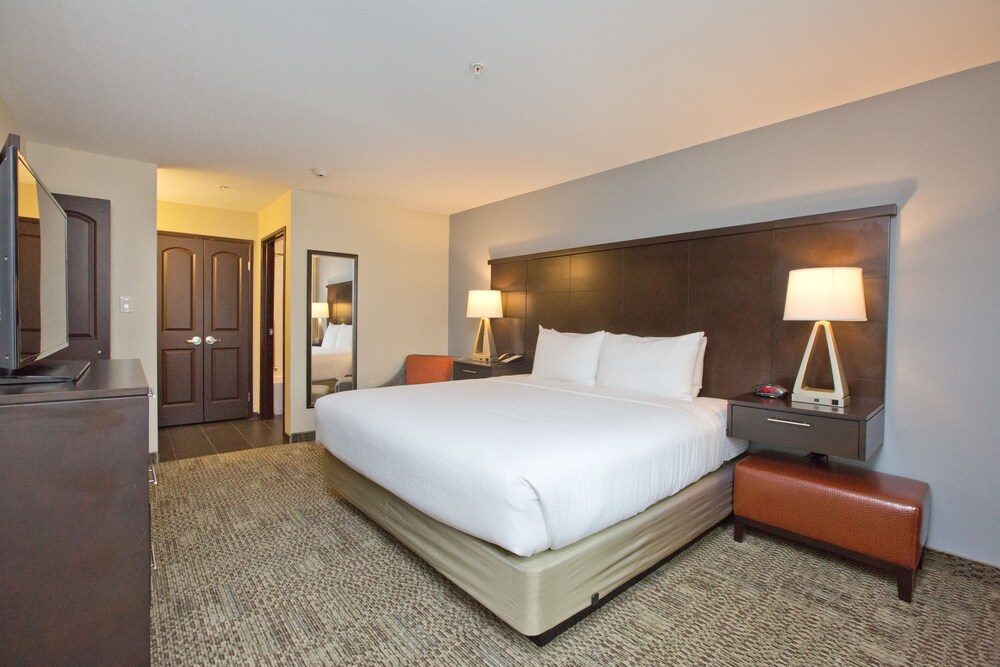 Staybridge Suites Austin South Interstate Hwy 35 by IHG - photo 8