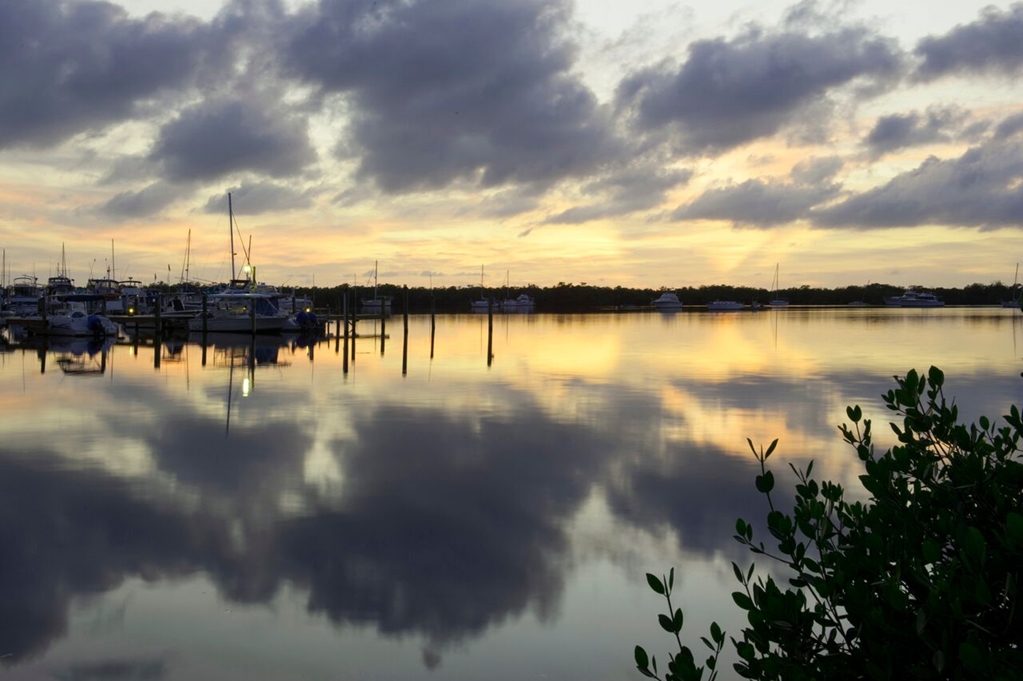 Coconut Palm Inn - photo 47