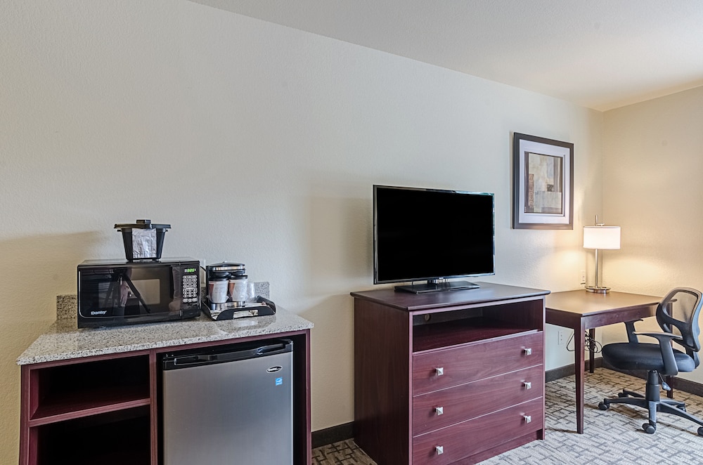 Cobblestone Hotel & Suites Greenville - photo 6