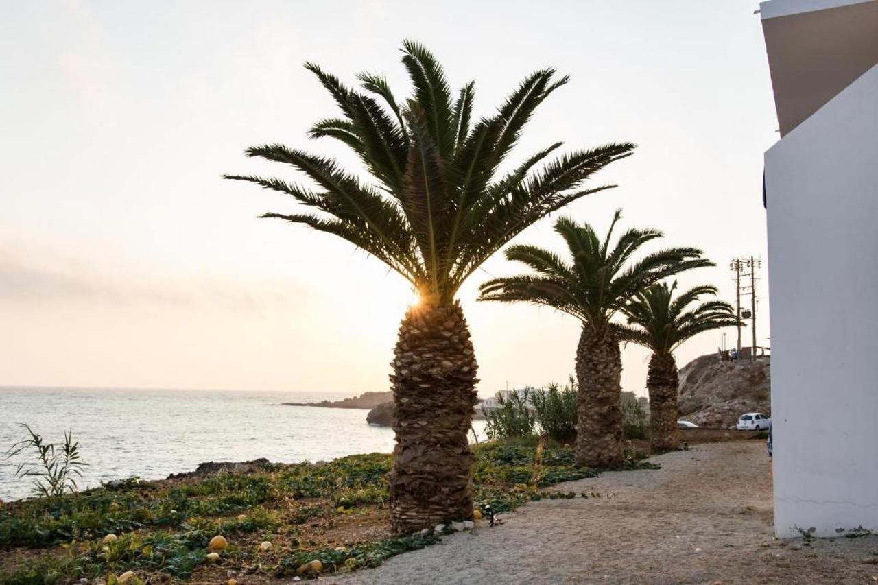 Krinos — Karpathos — photo 4