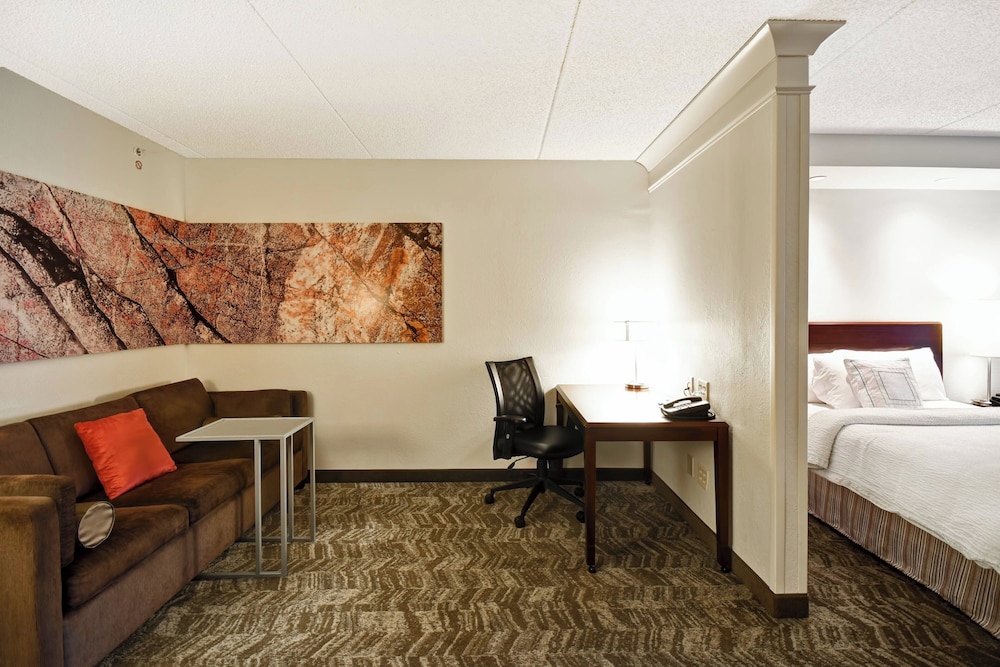 Springhill Suites by Marriott Louisville Airport - photo 21