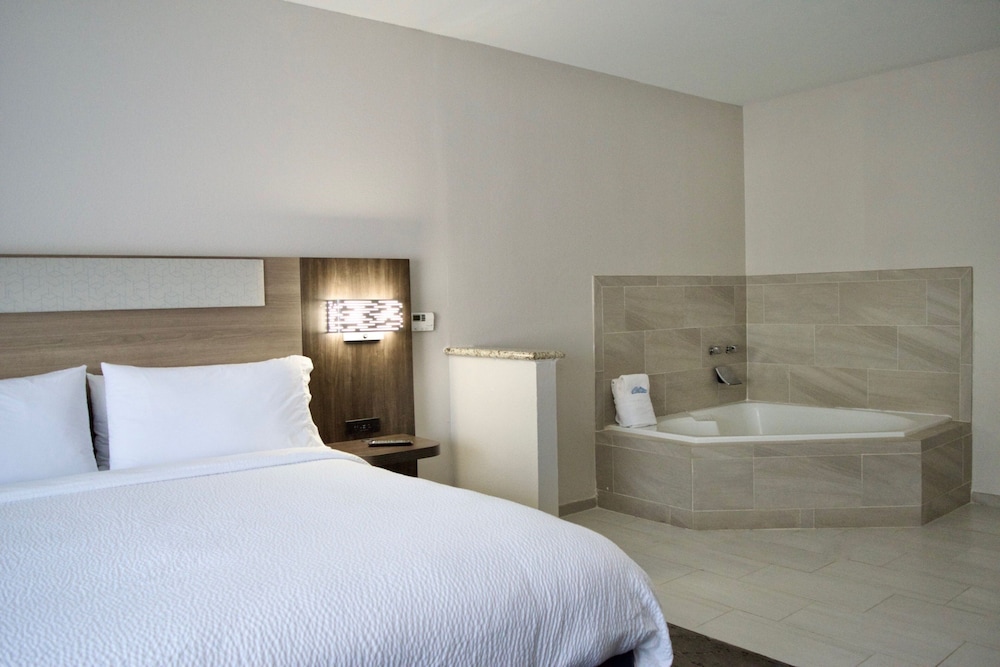 Holiday Inn Express & Suites College Station by IHG - photo 27