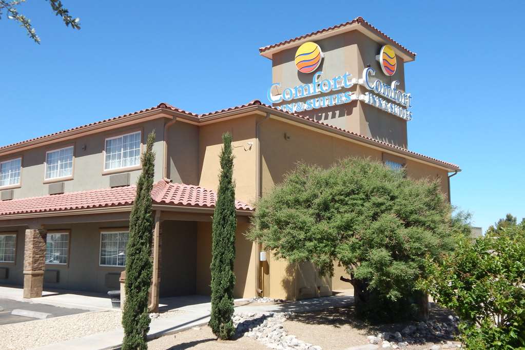 Comfort Inn & Suites Las Cruces Mesilla - photo 2