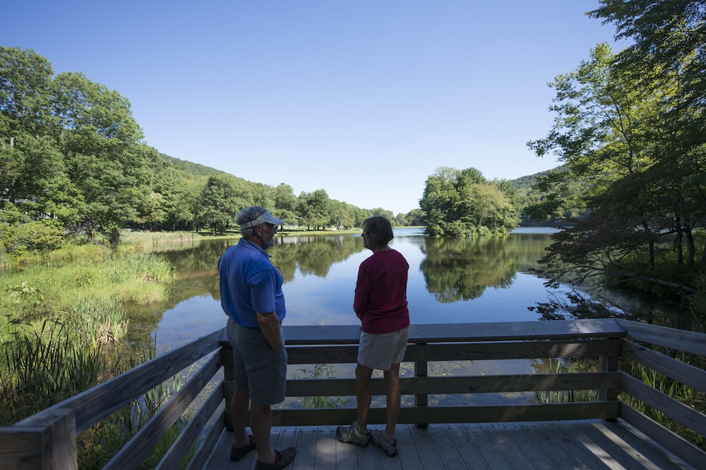 Peaks of Otter Lodge - photo 40