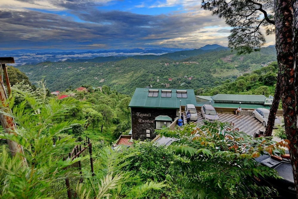 Kasauli Exotica in Kasauli, India