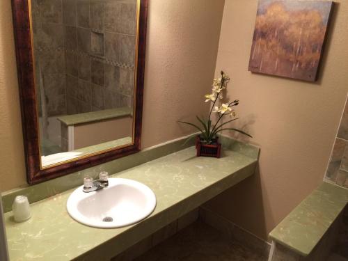 Austin Motor Inn - photo 33