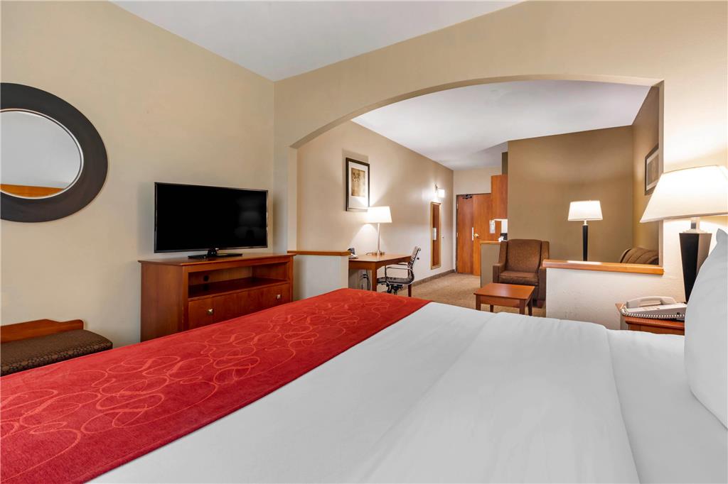Comfort Suites North Dallas - photo 9