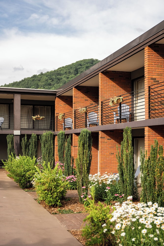 The Beaucatcher A Boutique Motel - photo 43