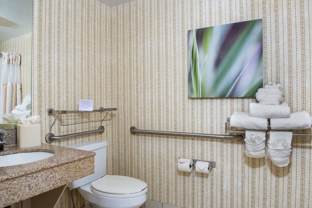 Hilton Garden Inn Charlotte Pineville - photo 5