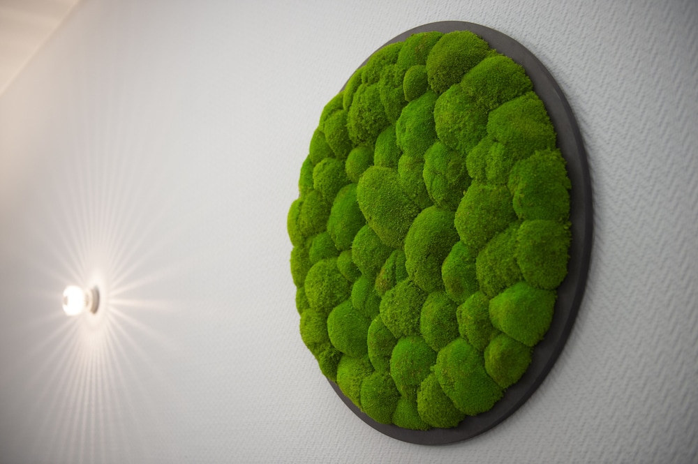 Platzhirsch Hotel in Bonn, Germany