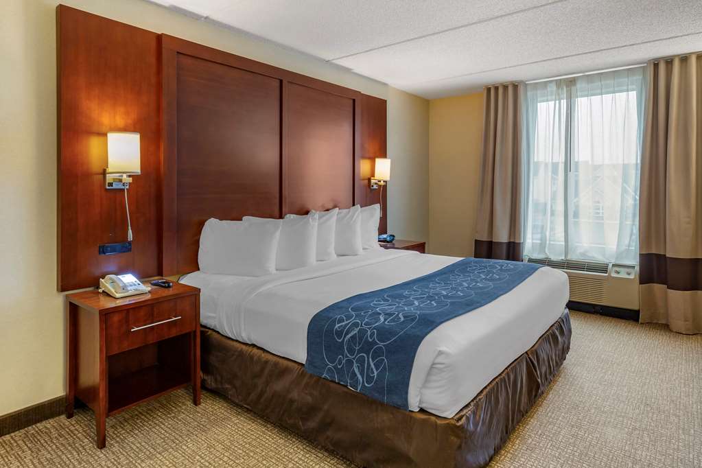 Comfort Suites Manassas Battlefield Park - photo 21