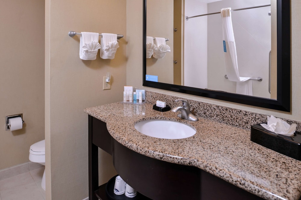 Hampton Inn & Suites Big Spring - photo 36
