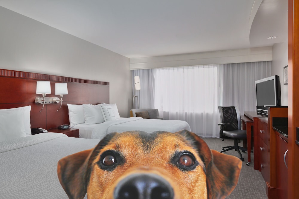 Courtyard by Marriott Corpus Christi - photo 17