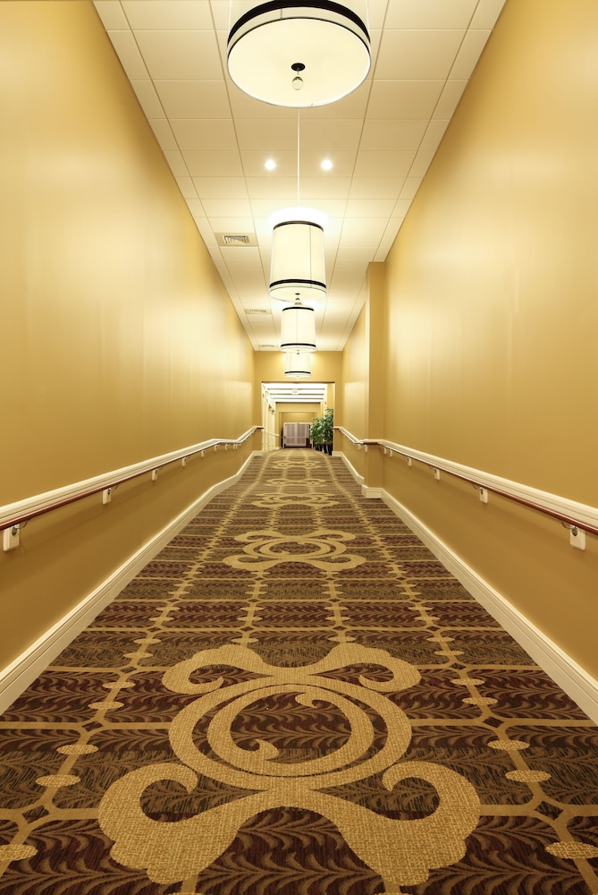 Georgetown University Hotel and Conference Center - photo 16