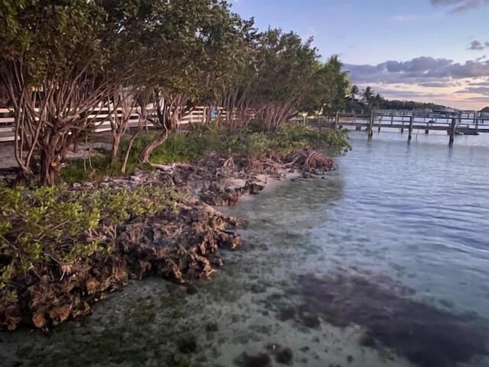 Bahia Bay Resort - photo 18