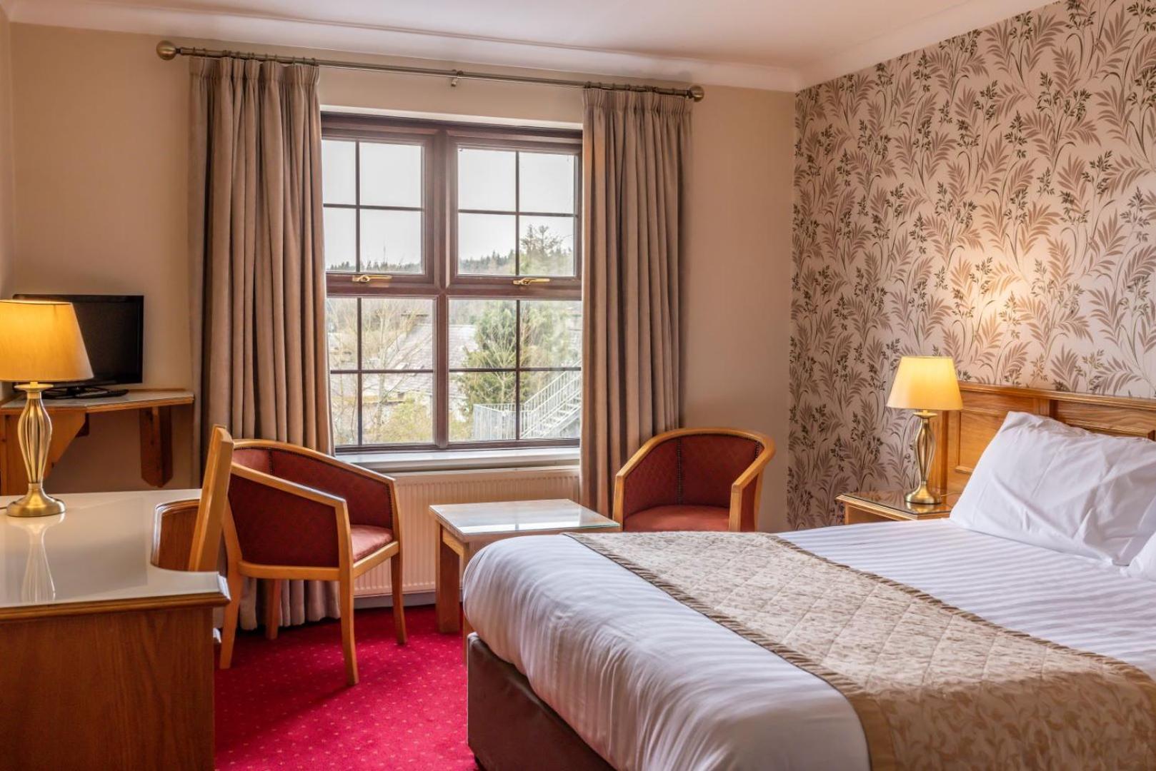 Kees in Donegal, Republic of Ireland