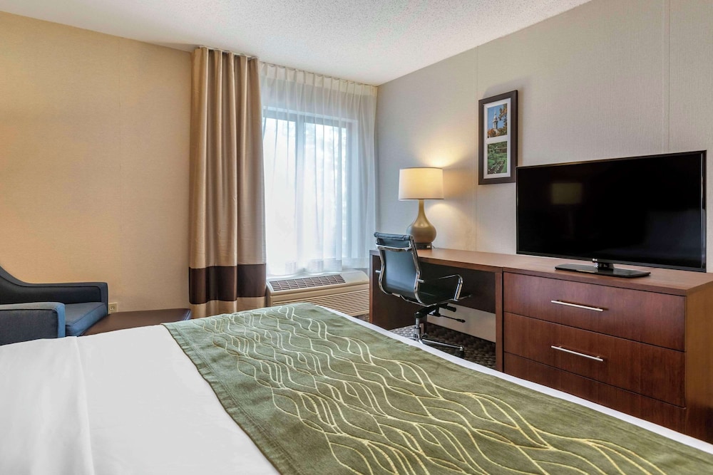 Comfort Inn Charlotte - photo 8