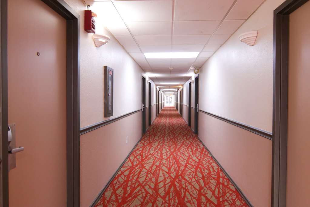 Ramada by Wyndham Davenport Orlando South - photo 33