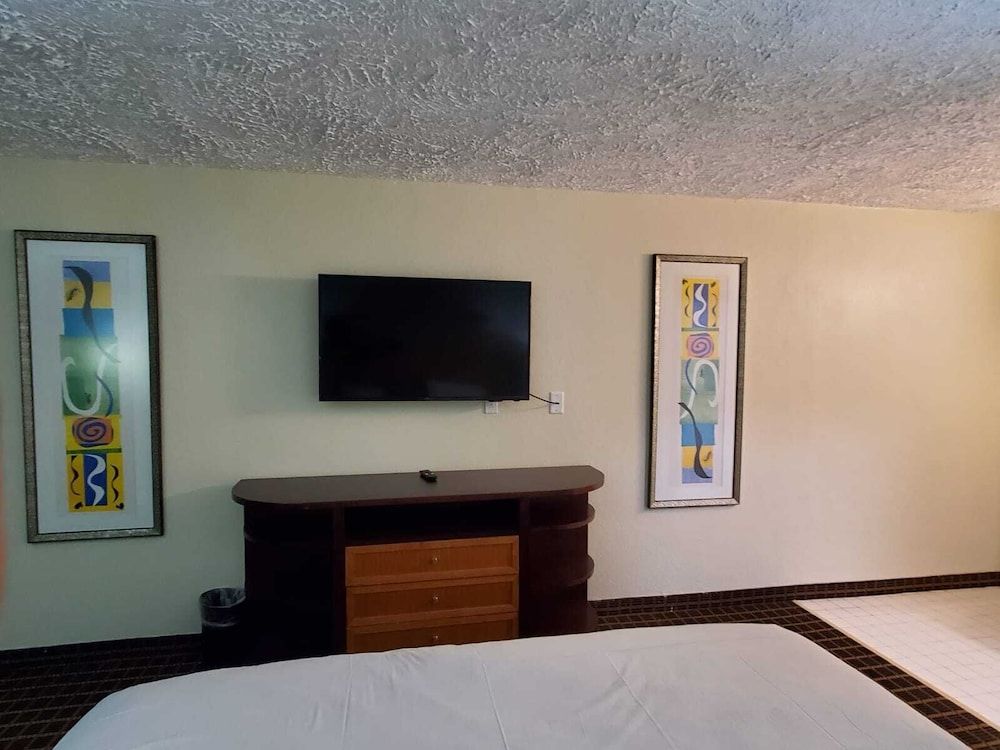 Palmetto Inn & Suites - photo 15