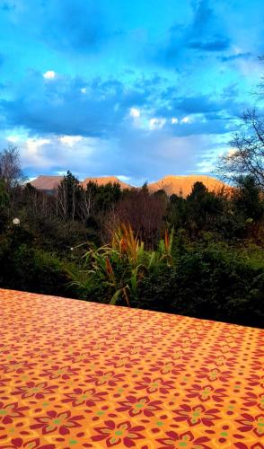 Touraco - carbon neutral hotel in Unknown City