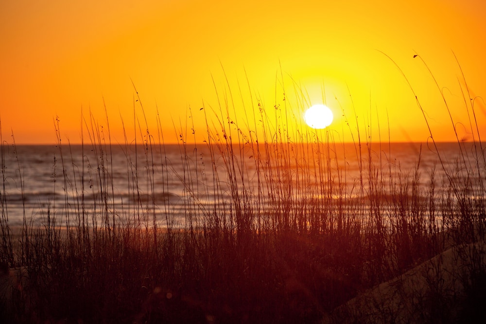 2274 Heritage Villas at The Sea Pines Resort - photo 22