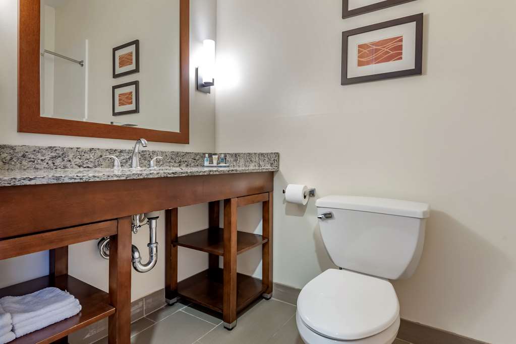 Comfort Inn Apalachin Binghamton W Route 17 - photo 18